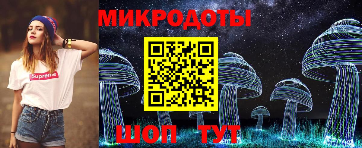 Галлюциногенные грибы Psilocybine cubensis Сарапул
