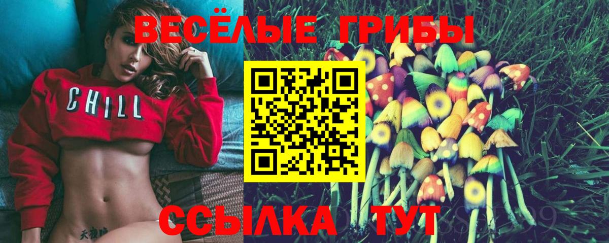 Сарапул  наркошоп  Вход с VPN  Псилоцибиновые грибы GOLDEN TEACHER 